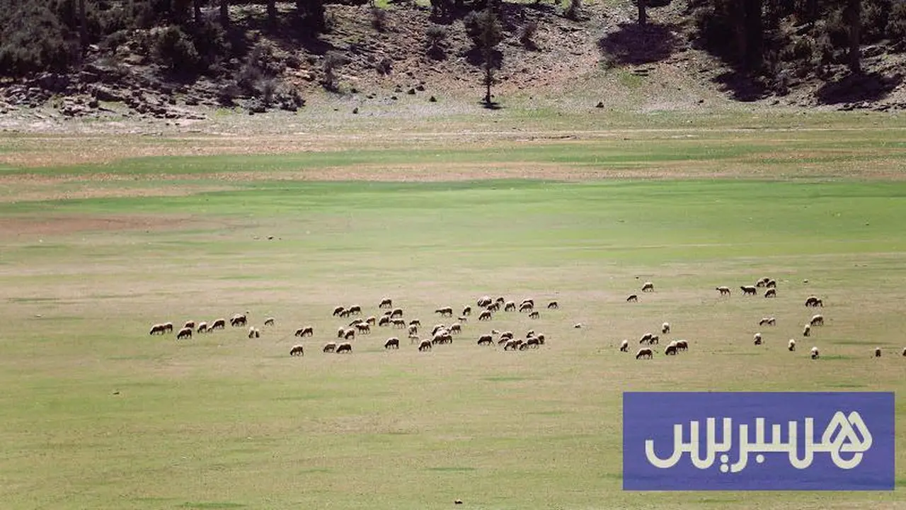 الأرصاد تتوقع تقلبات جوية بين الأمطار ونسب الحرارة في أنحاء المملكة